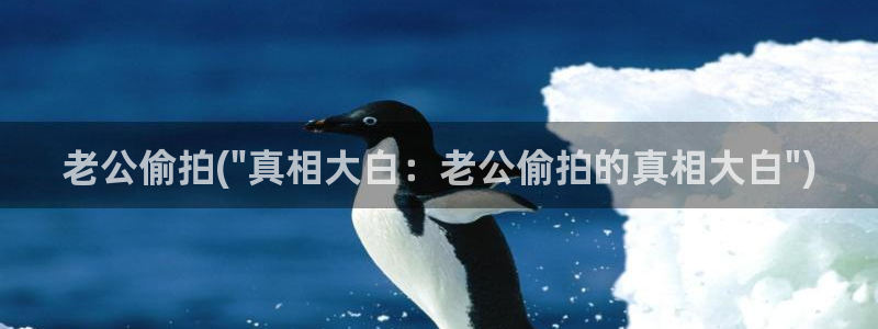 图片区/偷拍：老公偷拍(\