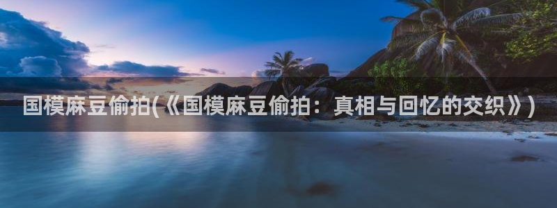 欧美自偷拍：国模麻豆偷拍(《国模麻豆偷拍：真相与回忆的交织》)